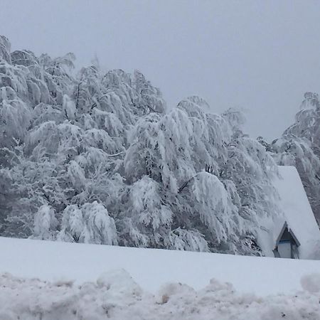 Willa Golija Vikendica Cesta Vrela Raška Zewnętrze zdjęcie