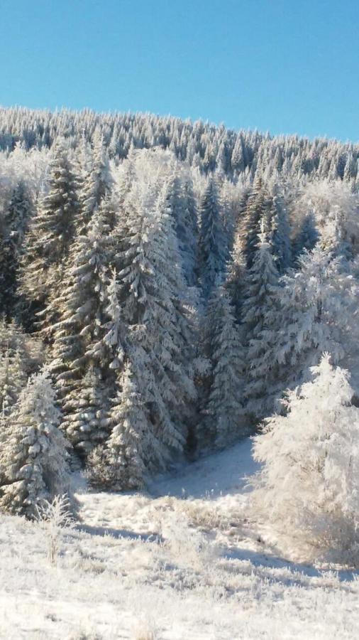 Willa Golija Vikendica Cesta Vrela Raška Zewnętrze zdjęcie