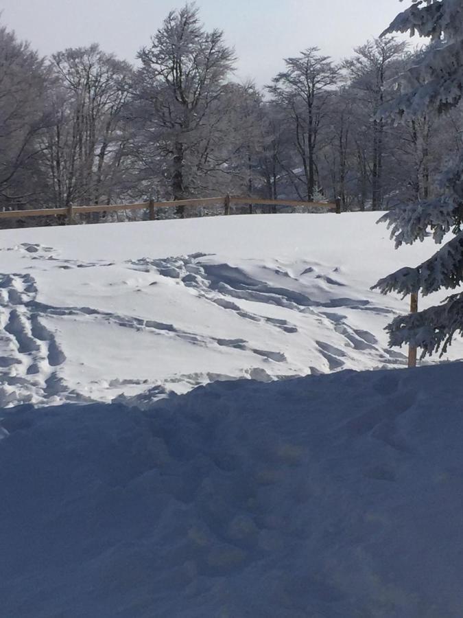 Willa Golija Vikendica Cesta Vrela Raška Zewnętrze zdjęcie